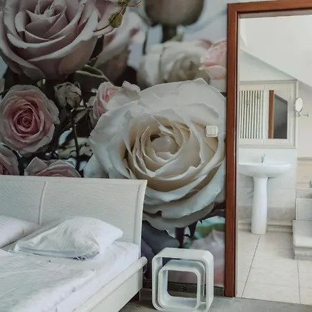 Polonez W Rymaniu Szálloda 3*