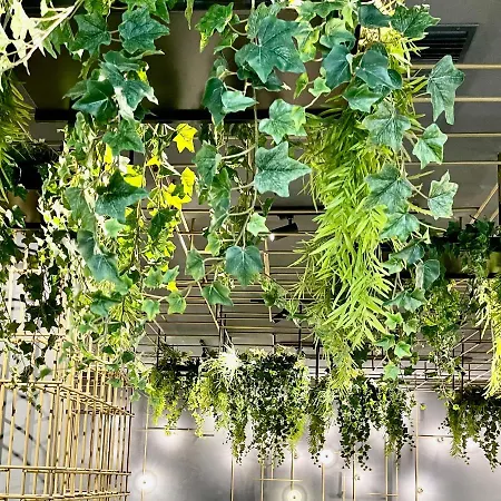 Polonez W Rymaniu Szálloda