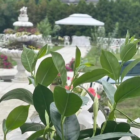 Hotel Polonez W Rymaniu Rymań