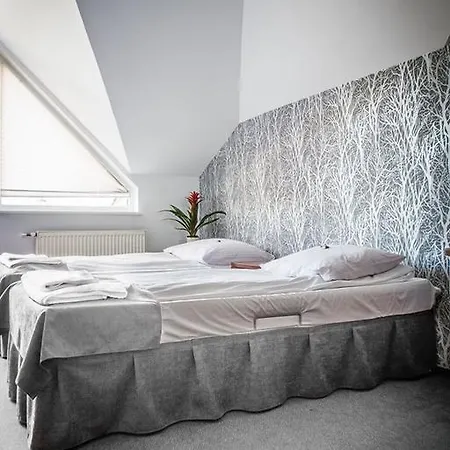 Polonez W Rymaniu 3* Rymań