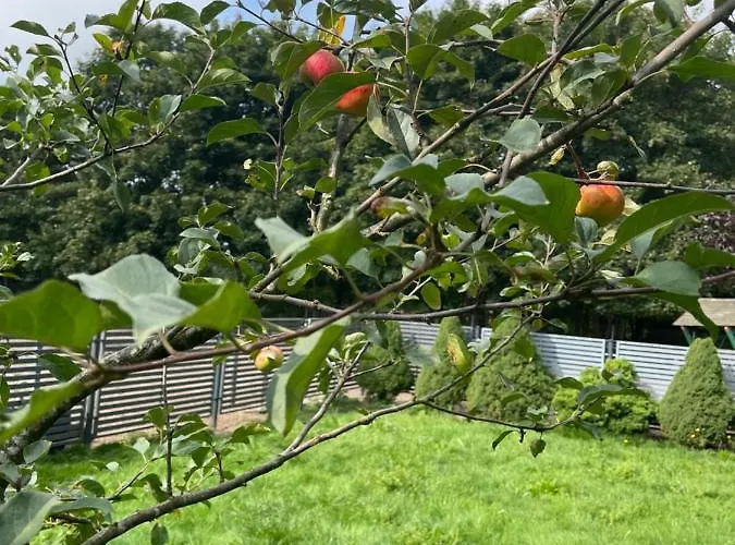 Ξενοδοχείο Polonez W Rymaniu Rymań