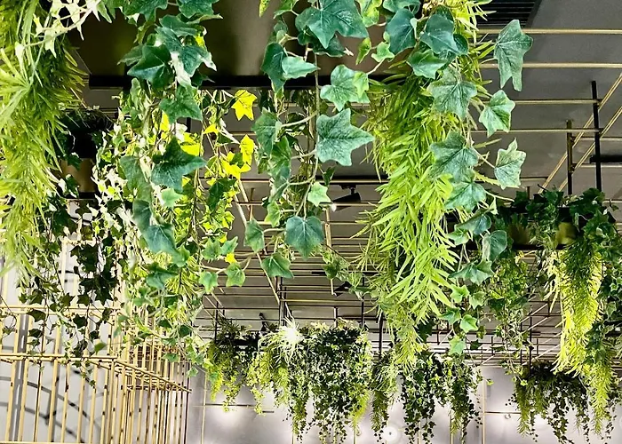 Polonez W Rymaniu מלון