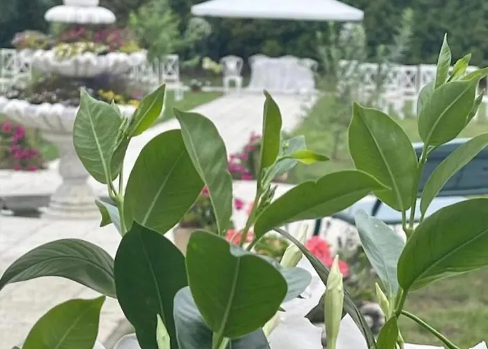 מלון Polonez W Rymaniu Rymań